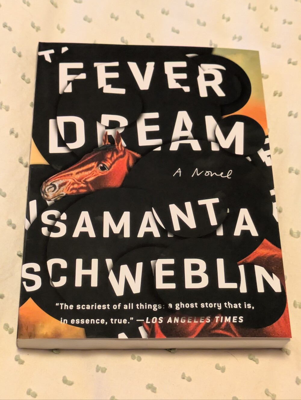 Fever Dream by Samantha Schweblin